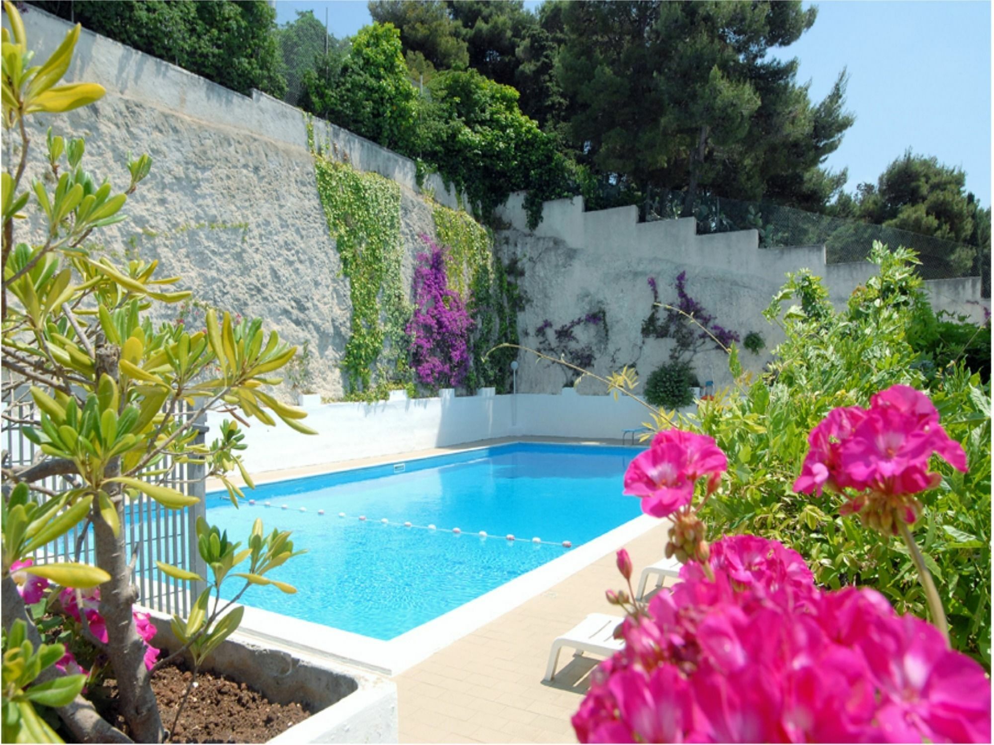 Hotel Timiama Peschici Extérieur photo